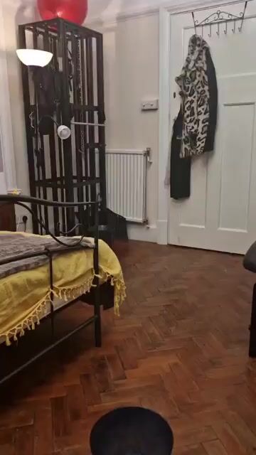 Premium <br> Videos
