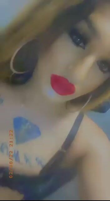 Premium <br> Videos